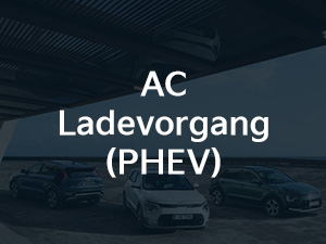 Kia Niro AC Ladevorgang