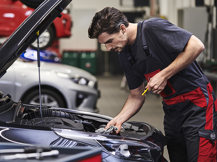 Service advisor is polishing the Kia tiger nose