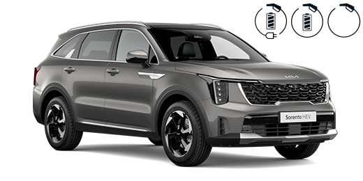 PV5 Passenger 5 Seater