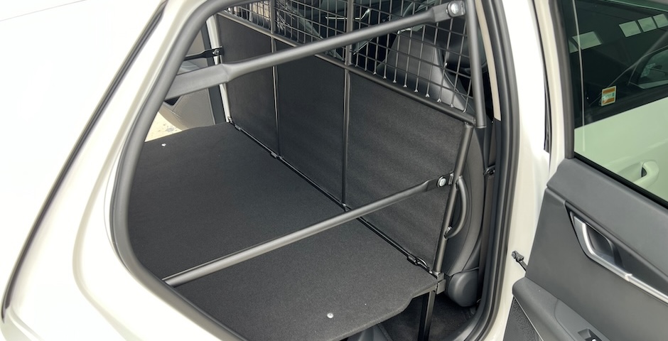 Niro EV VAN